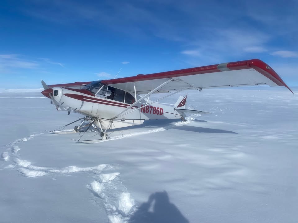 1956 Piper PA-18 Supercub super cub, photo 9