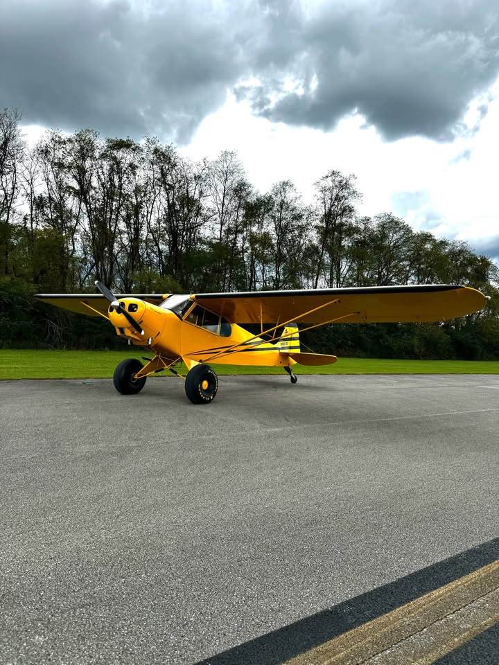Piper PA-11 Experimental Cub, photo 2