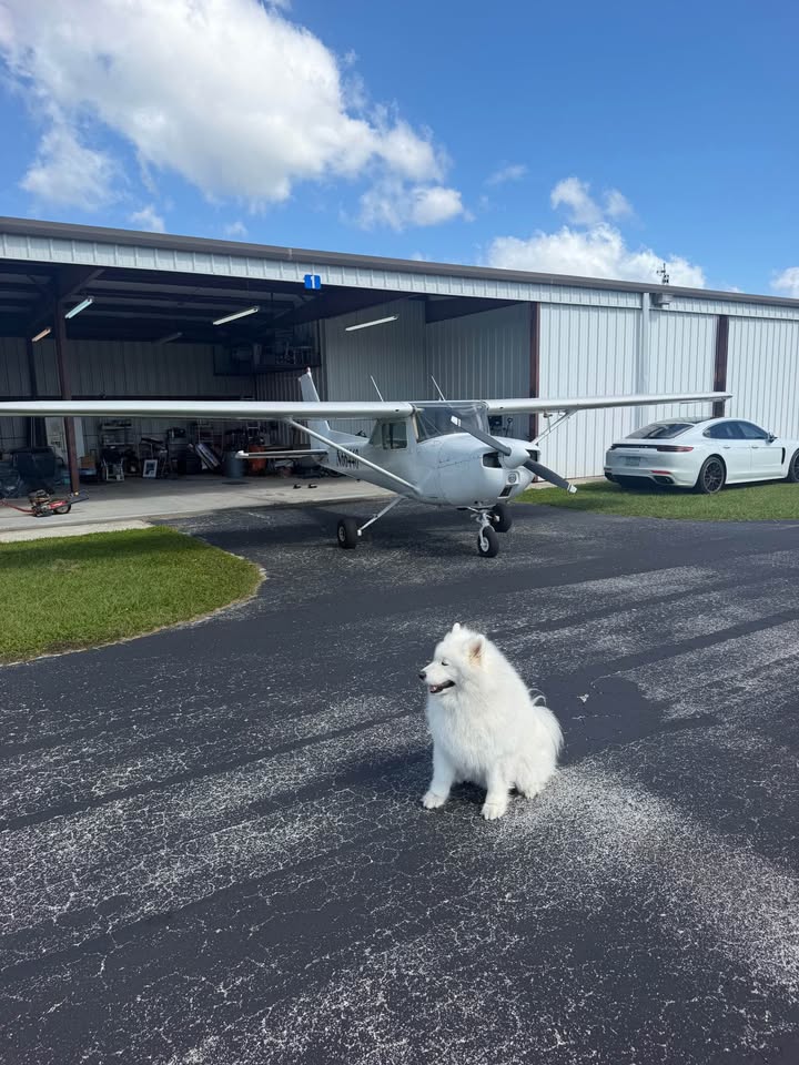 1978 Cessna 150 Better hurry won’t last long, photo 2