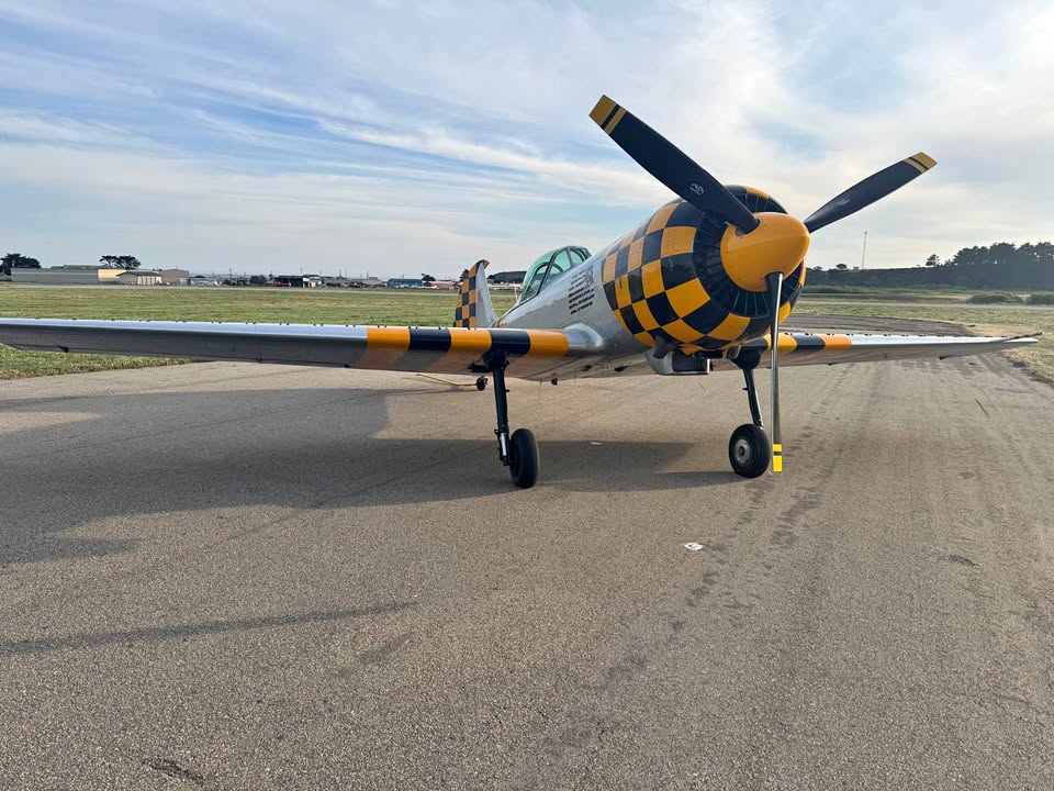 Yakovlev Airplane 1982 Yak-50, photo 1