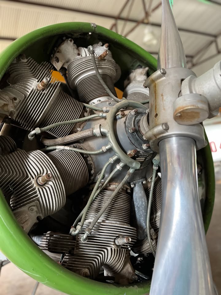 Stolp Biplane Starduster SA-300 Nostalgia, photo 7