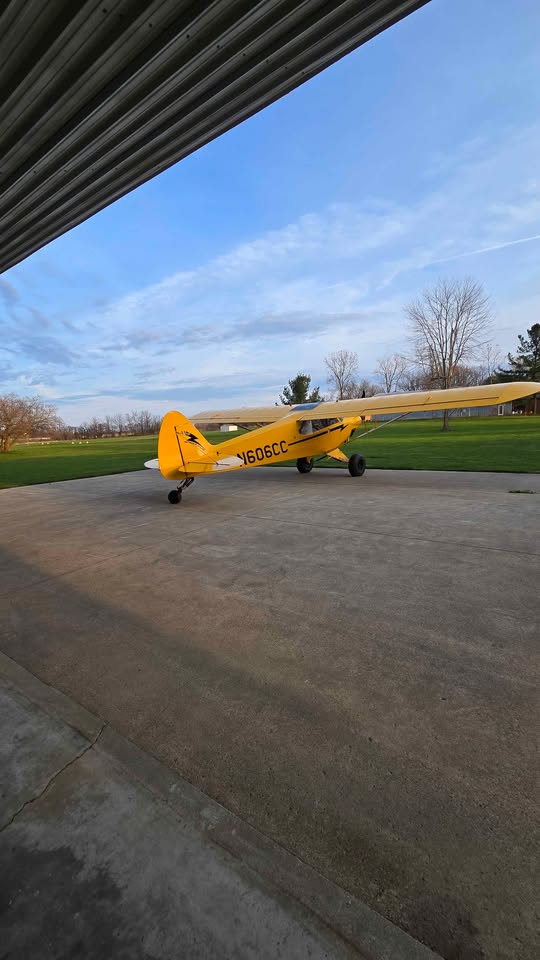 2007 Carbon cub sport cub, photo 3