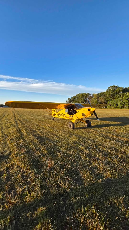 2007 Carbon cub sport cub, photo 9