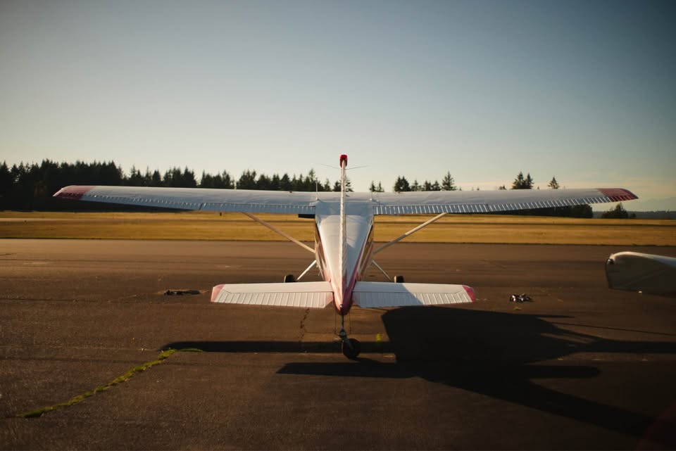 1954 Cessna 180, photo 4