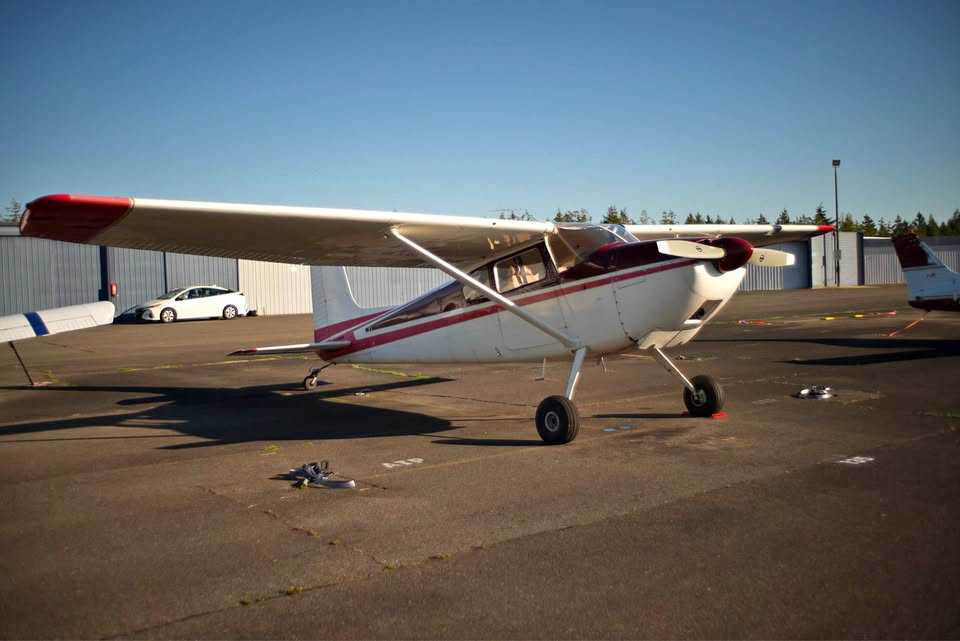 1954 Cessna 180, photo 1