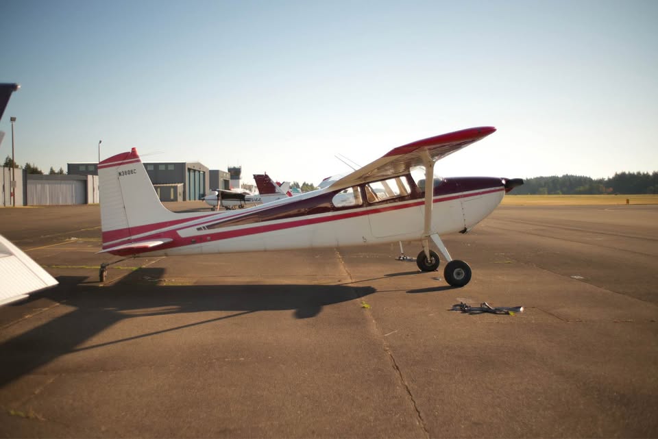 1954 Cessna 180, photo 2