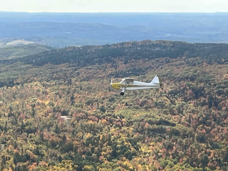 1946 Stinson 108-1, photo 4