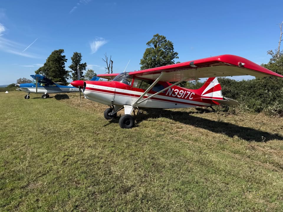 Maule M4 220C, photo 3