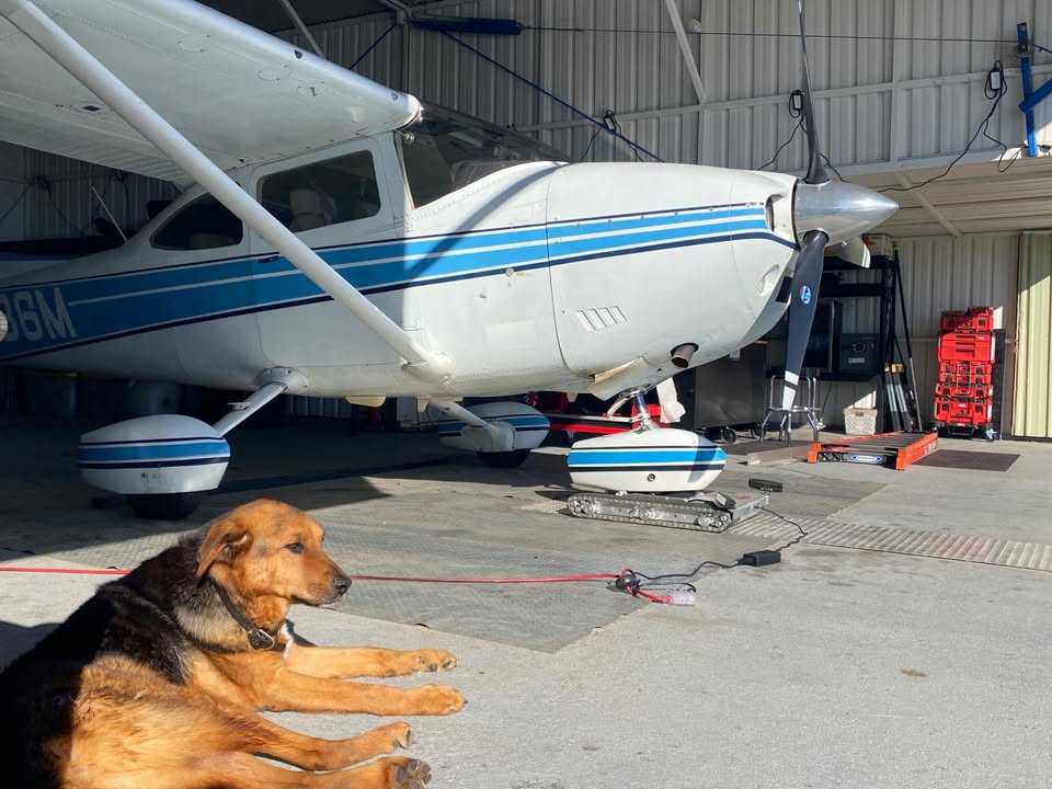 1975 Cessna 182p, photo 4