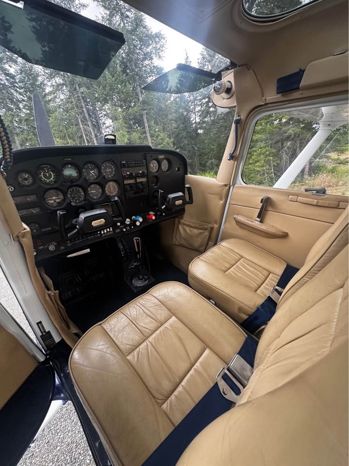 1977 Cessna 172N, photo 2
