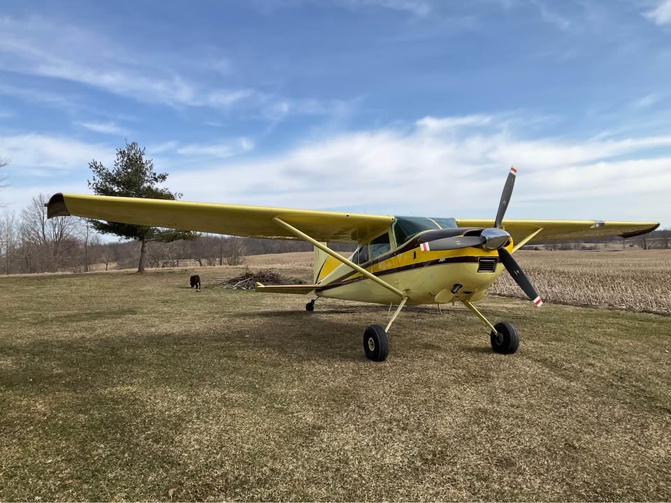 1964 Cessna 185, photo 3