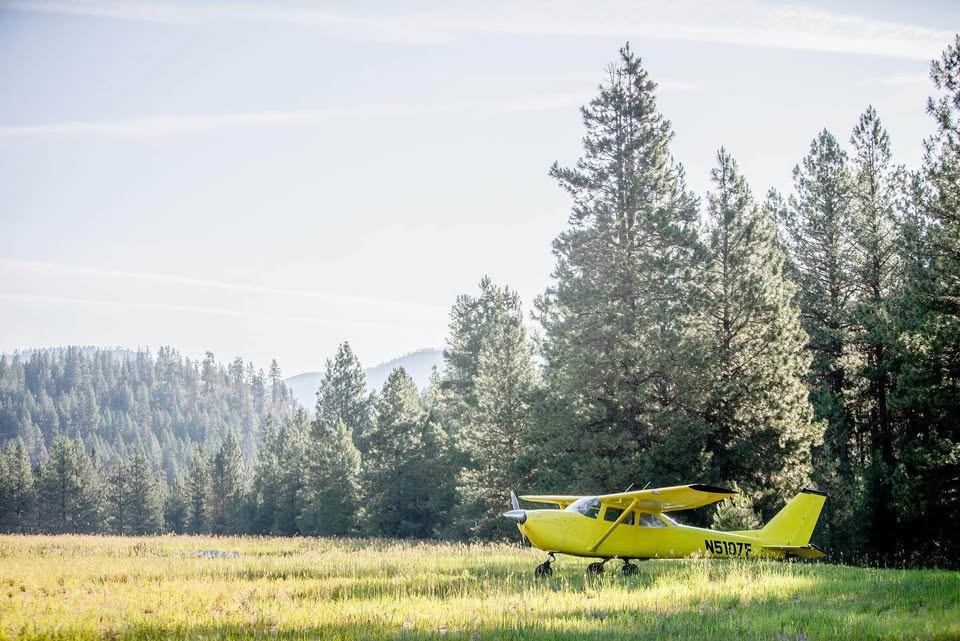 1966 Cessna 172 Skyhawk, photo 2