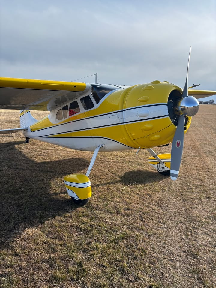 1951 Cessna 190/195, photo 2