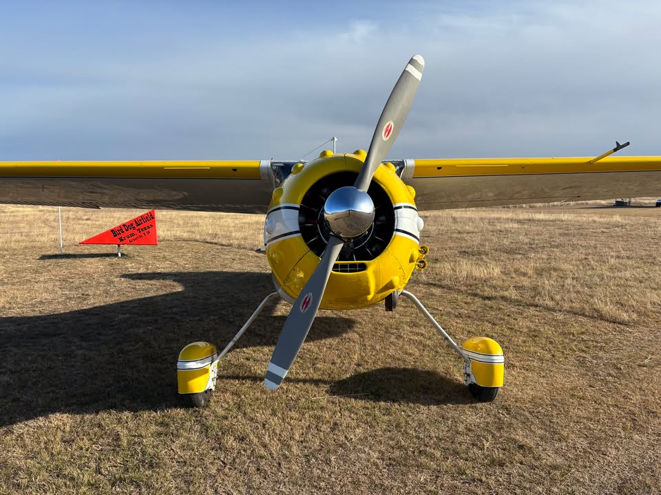 1951 Cessna 190/195, photo 3