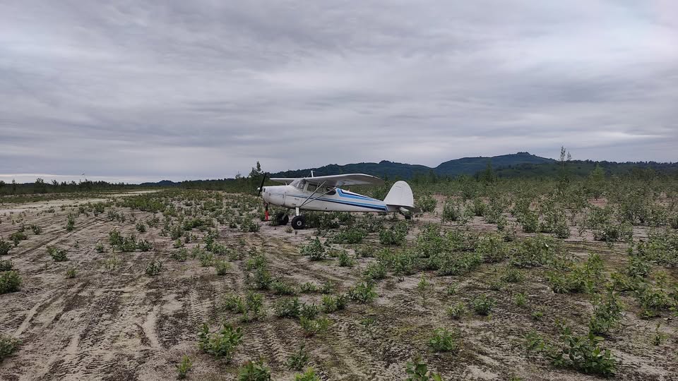 1948 Cessna 170, photo 3