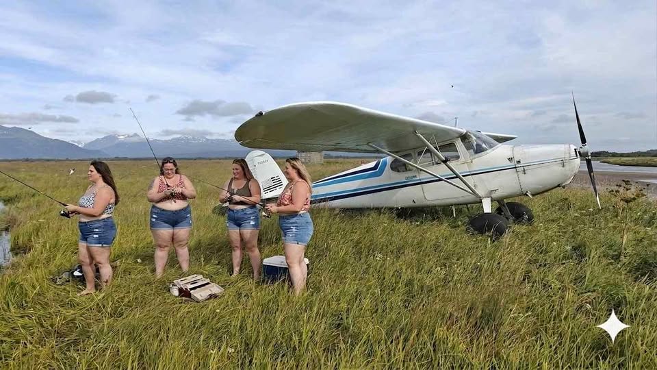 1948 Cessna 170, photo 1
