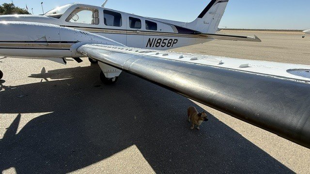 1981 Beechcraft Baron 58P, photo 8
