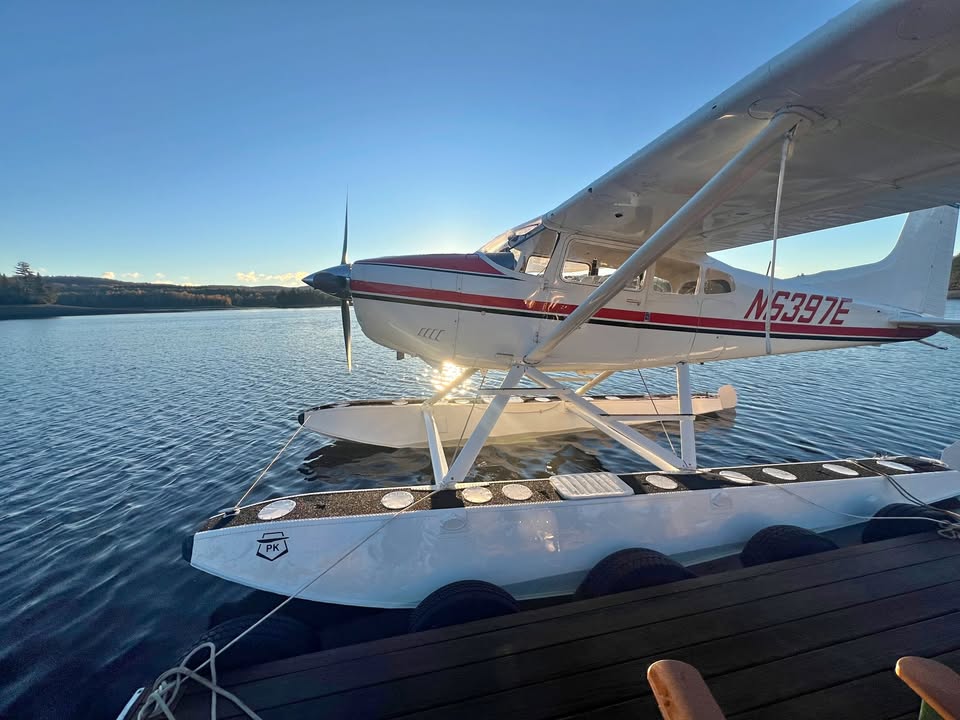 1980 Cessna A185F, photo 1