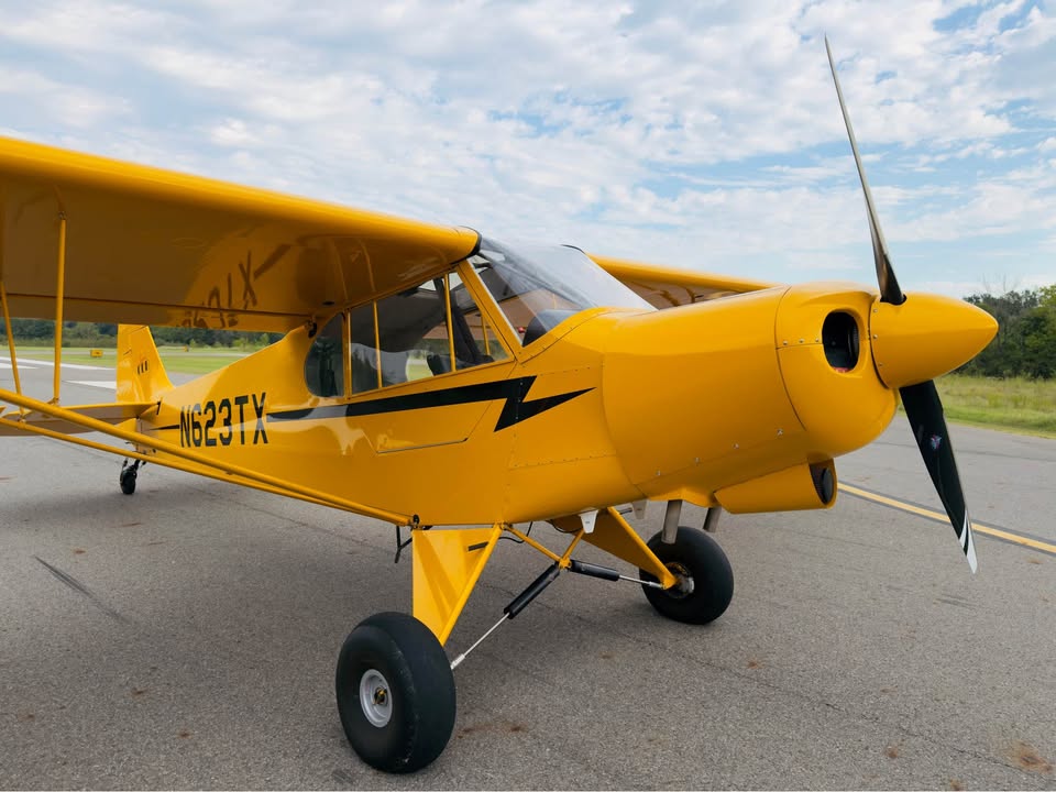2014 American Legend AL18 Super Cub, photo 5