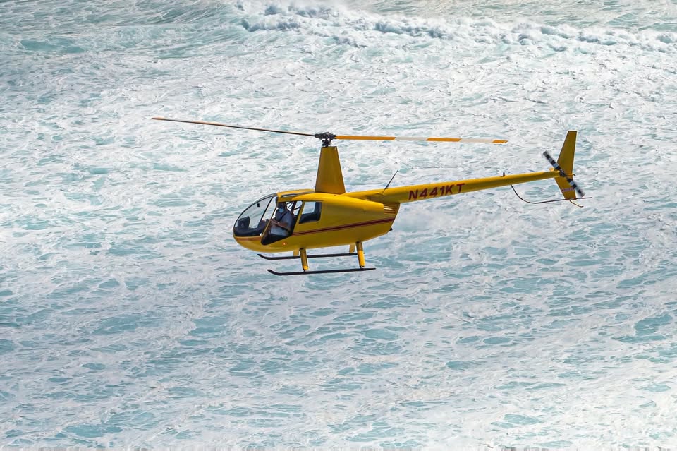 2001 Robinson R44, photo 1