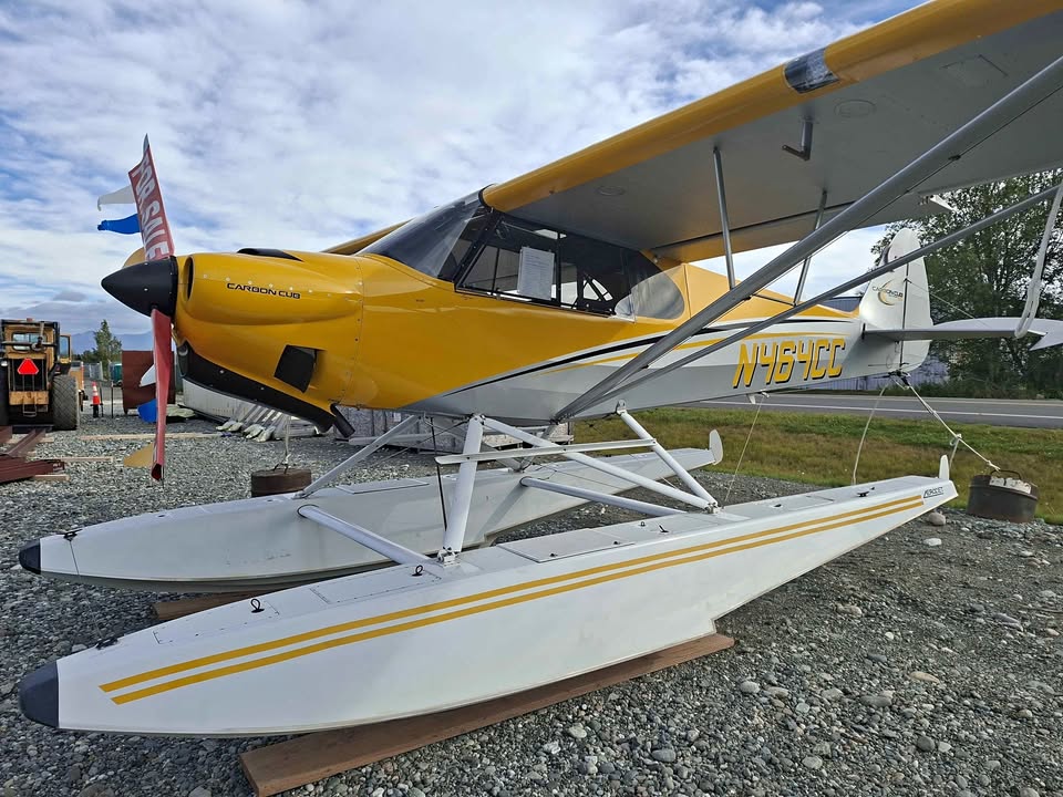 2016 Carbon Cub SS, photo 1
