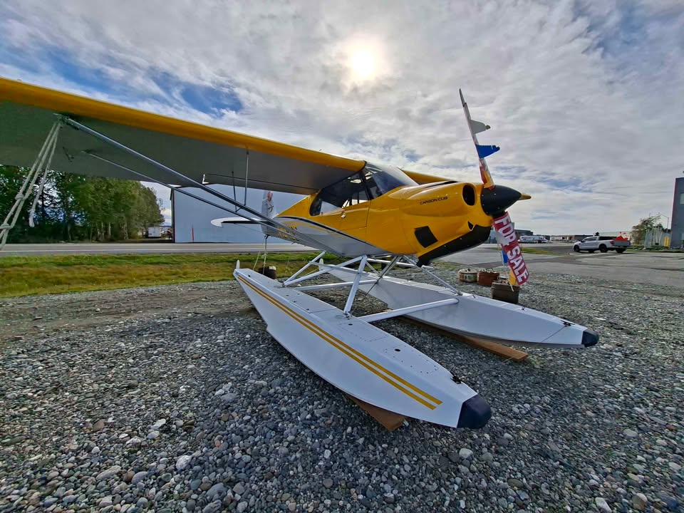 2016 Carbon Cub SS, photo 5