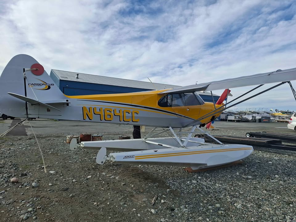 2016 Carbon Cub SS, photo 2