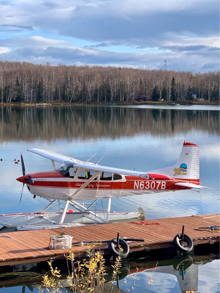 1979 Cessna A185F, photo 10