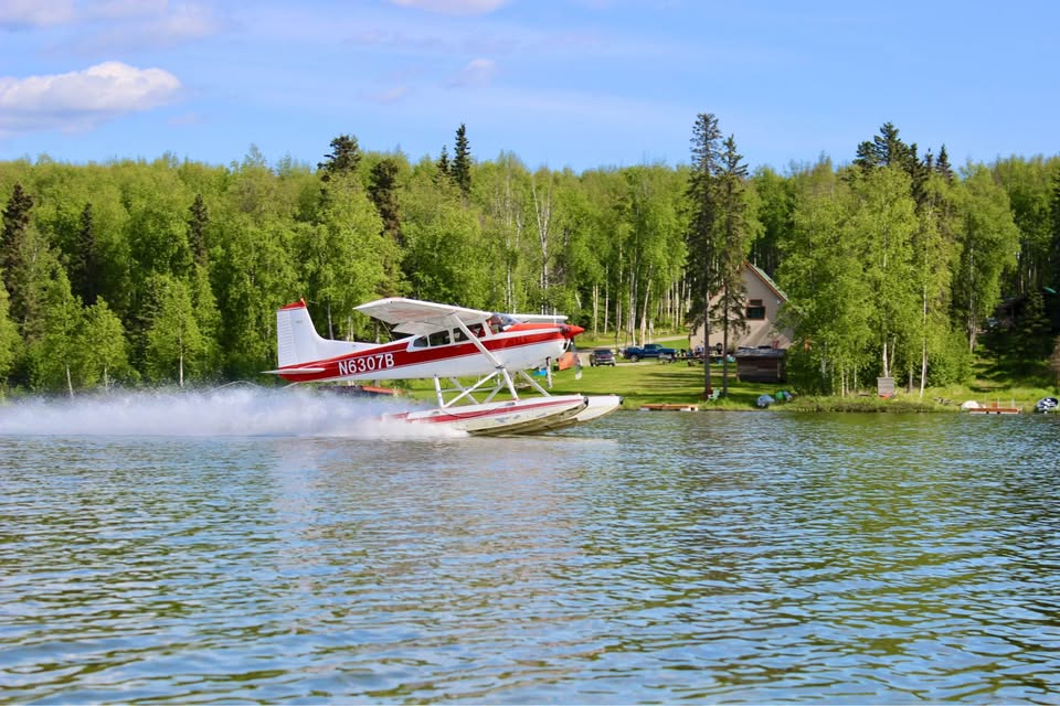 1979 Cessna A185F, photo 3