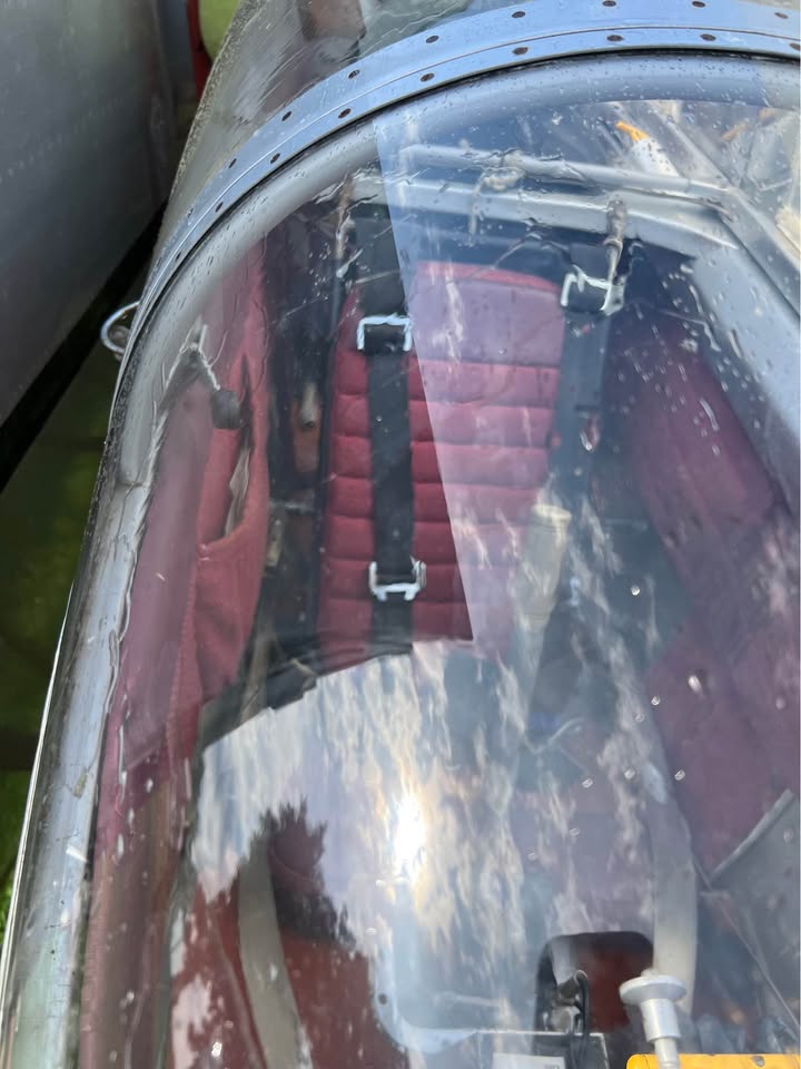Let L-13 Blanik Glider, photo 7