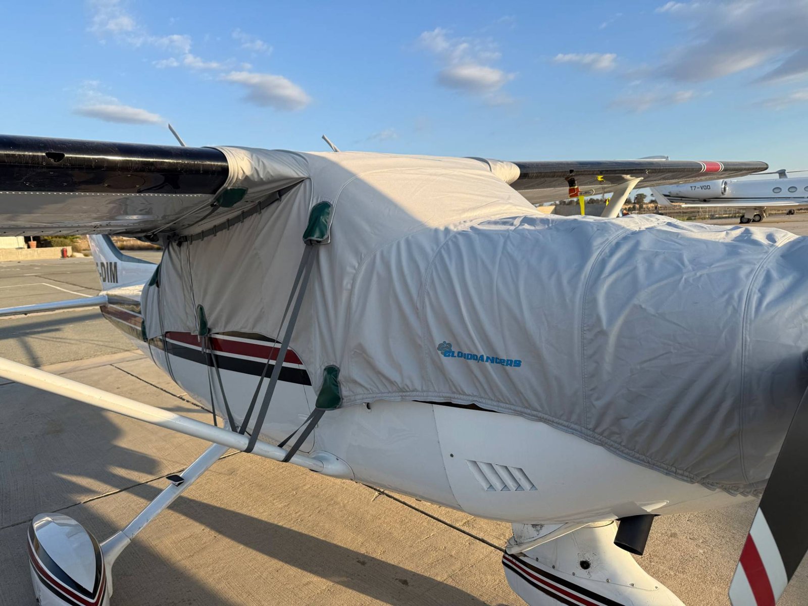 1973 Cessna 182 Skylane Mogas, photo 4