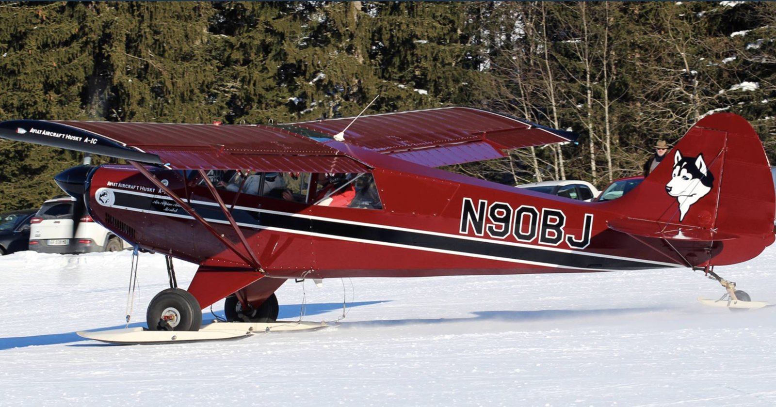 2010 Aviat A-1 Husky C skis, photo 3