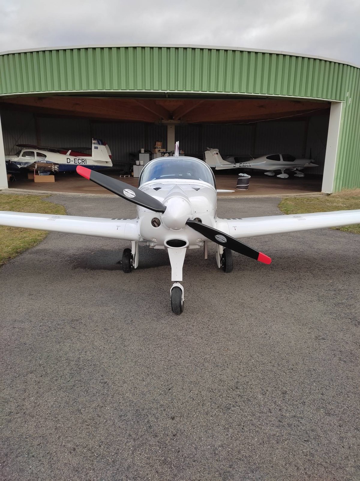 2019 Alpi Pioneer 300 RG, photo 1