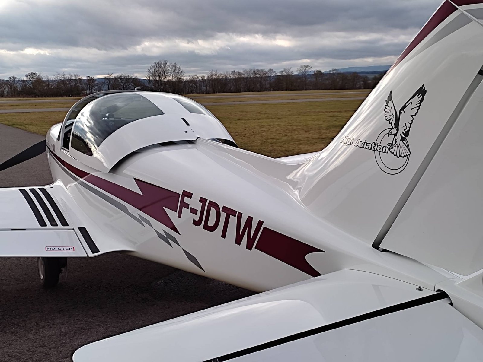 2019 Alpi Pioneer 300 RG, photo 3