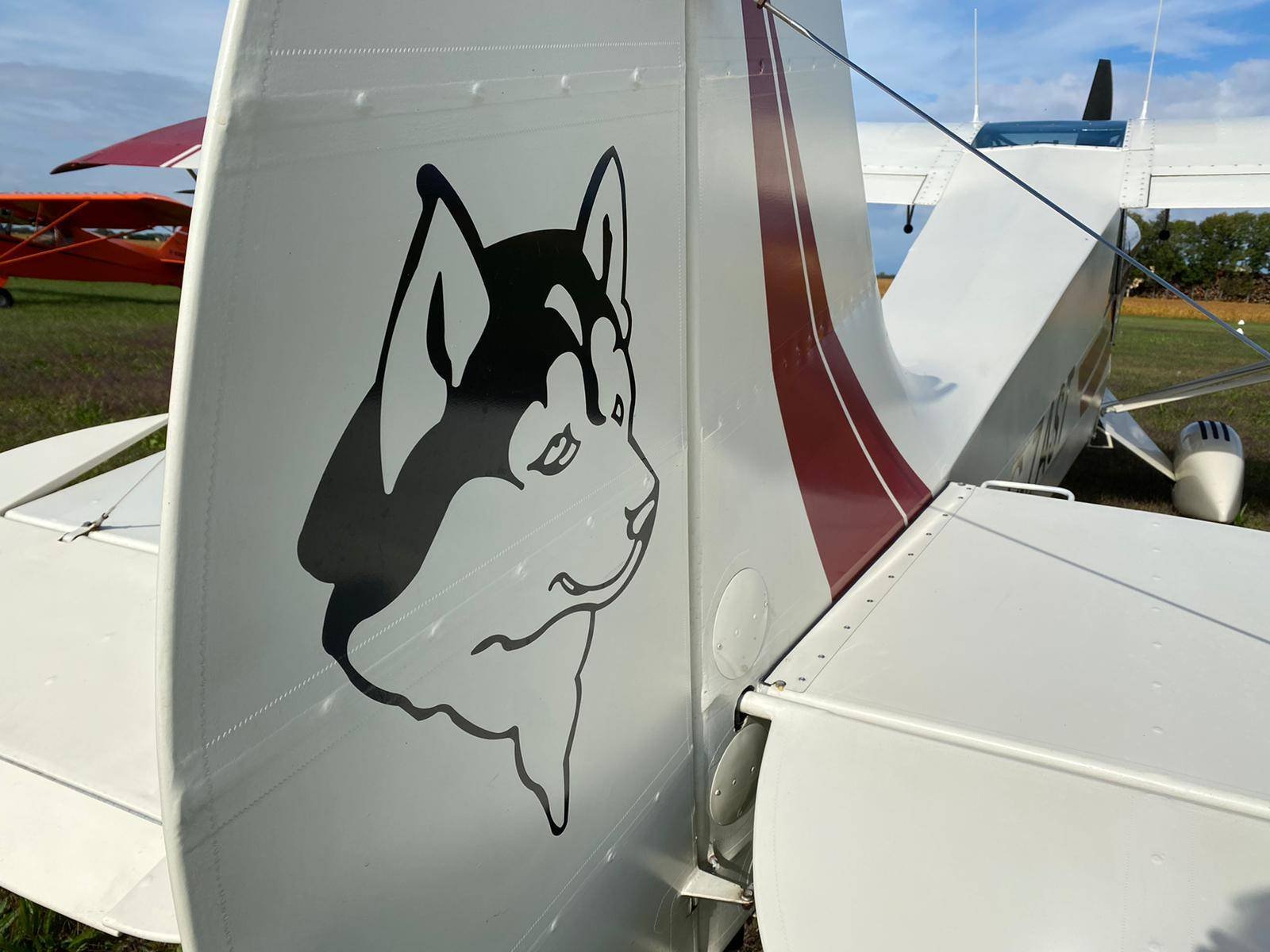 1990 Aviat A-1 Husky, photo 6