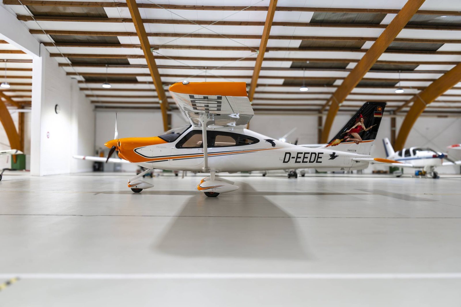 2019 Tecnam P-2010 Mk II, photo 4