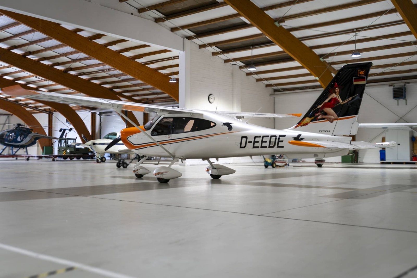 2019 Tecnam P-2010 Mk II, photo 5