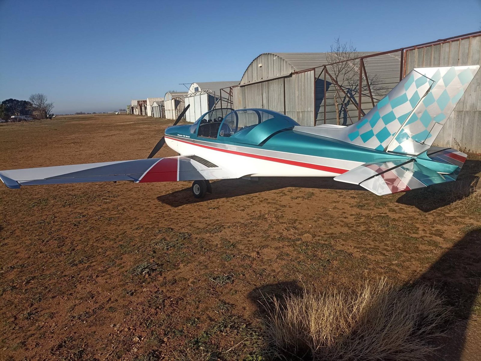 2008 Alpi Pioneer 300, photo 2