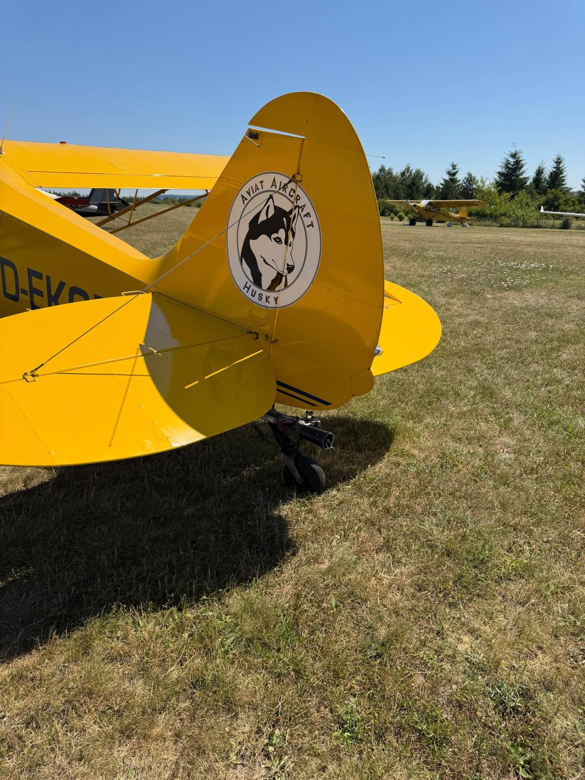 2005 Aviat A-1 Husky, photo 5