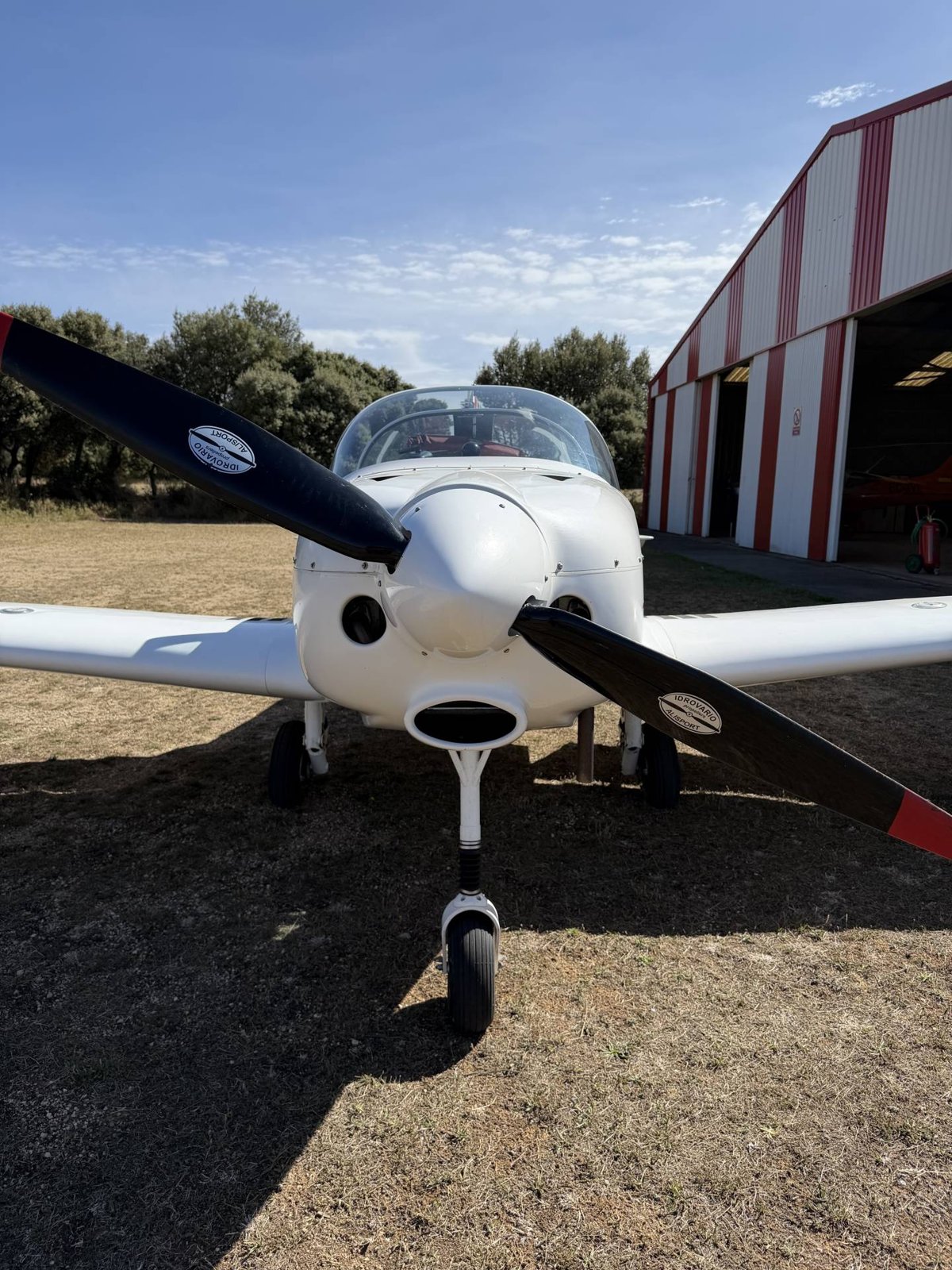 2014 Alpi Pioneer 300, photo 4